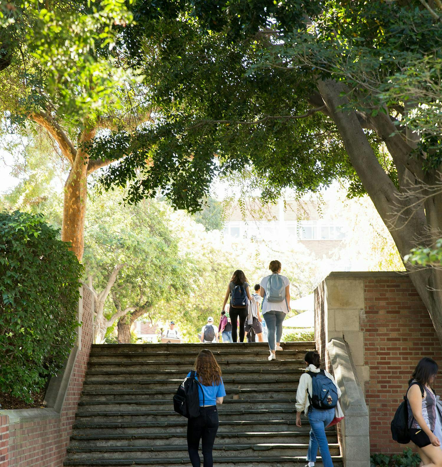 Students climbing a flight of stairs on campus