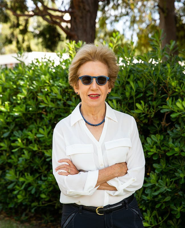Christine Borgman, distinguished research professor