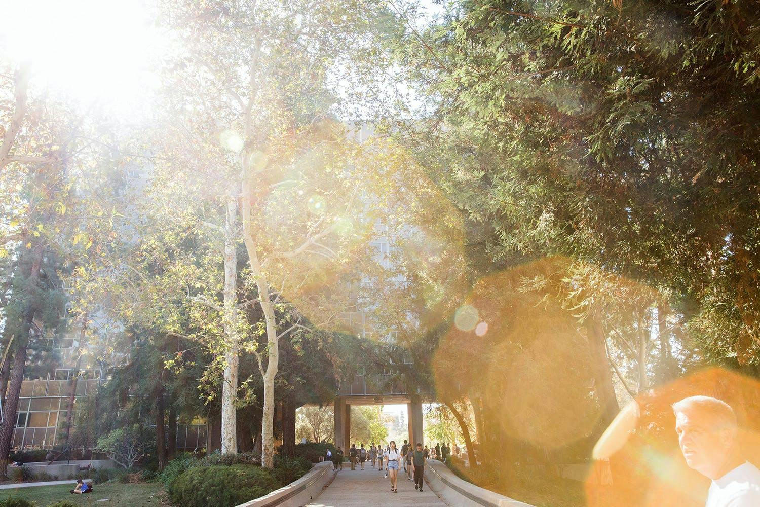 UCLA campus walk way 