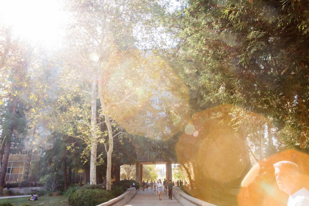 UCLA Campus and Student walking in Sunlight