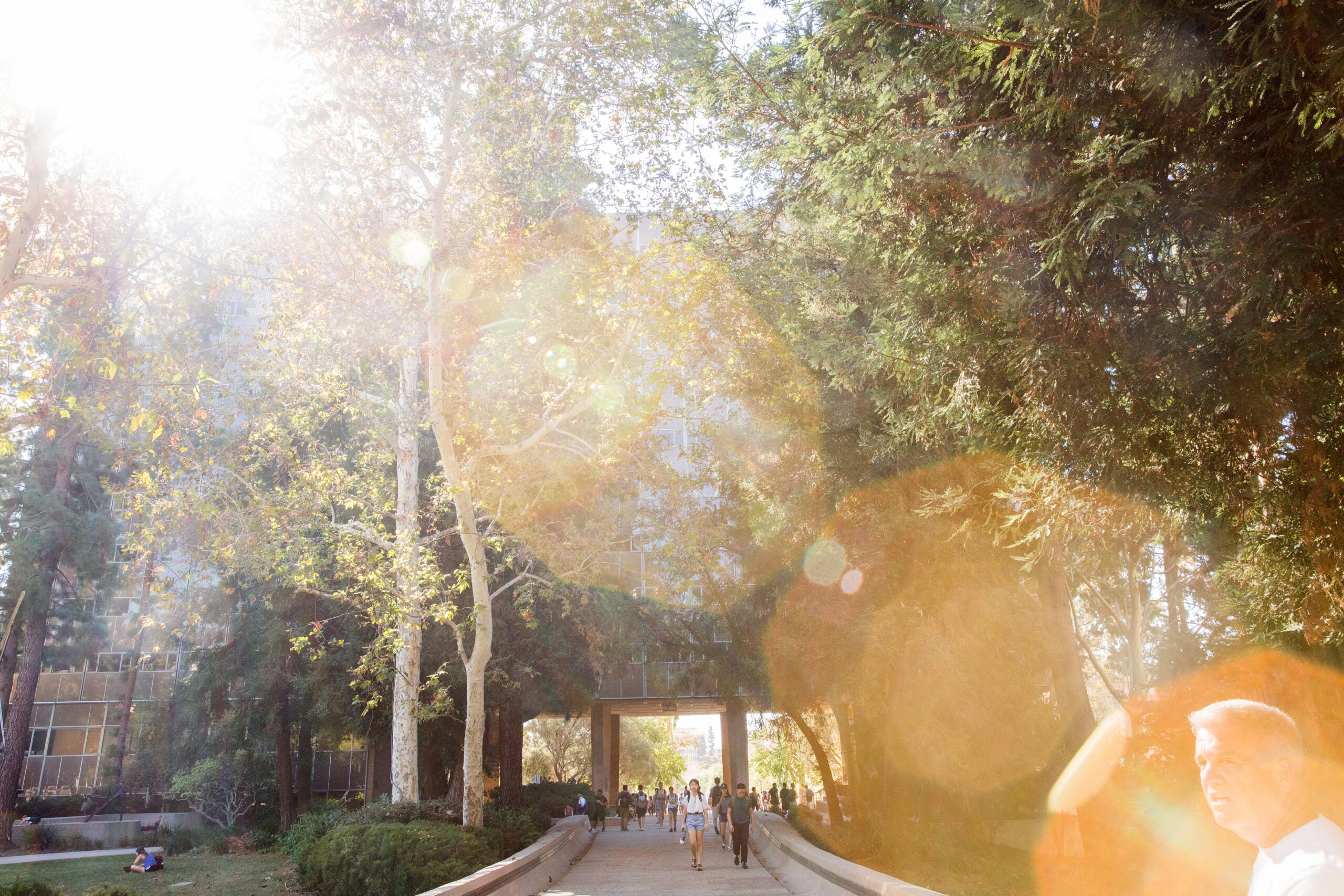 UCLA Campus and Student walking in Sunlight