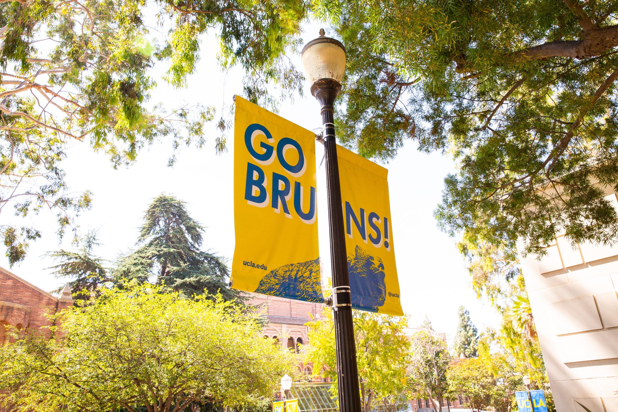 UCLA Go Bruins Flag