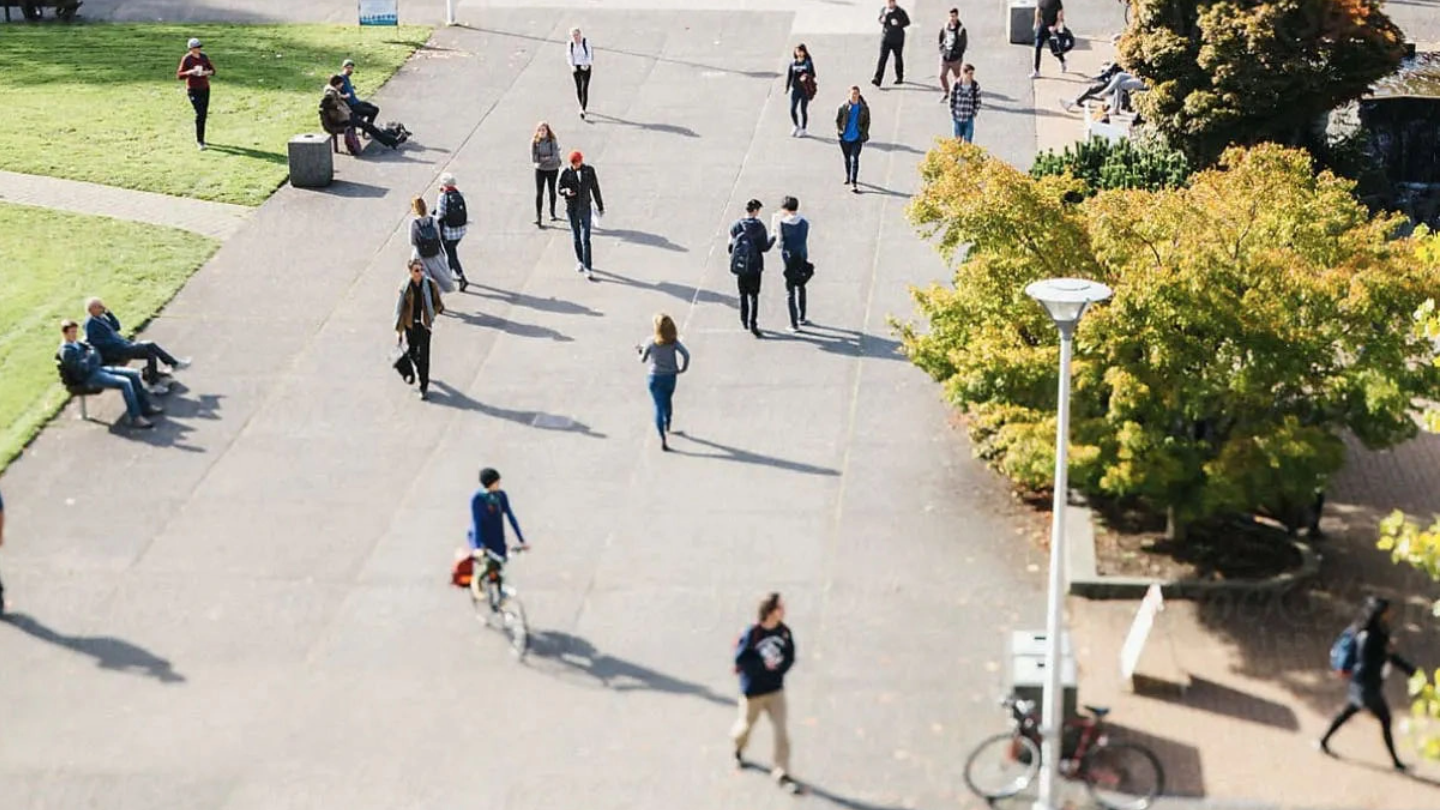 Students Walking Arial View