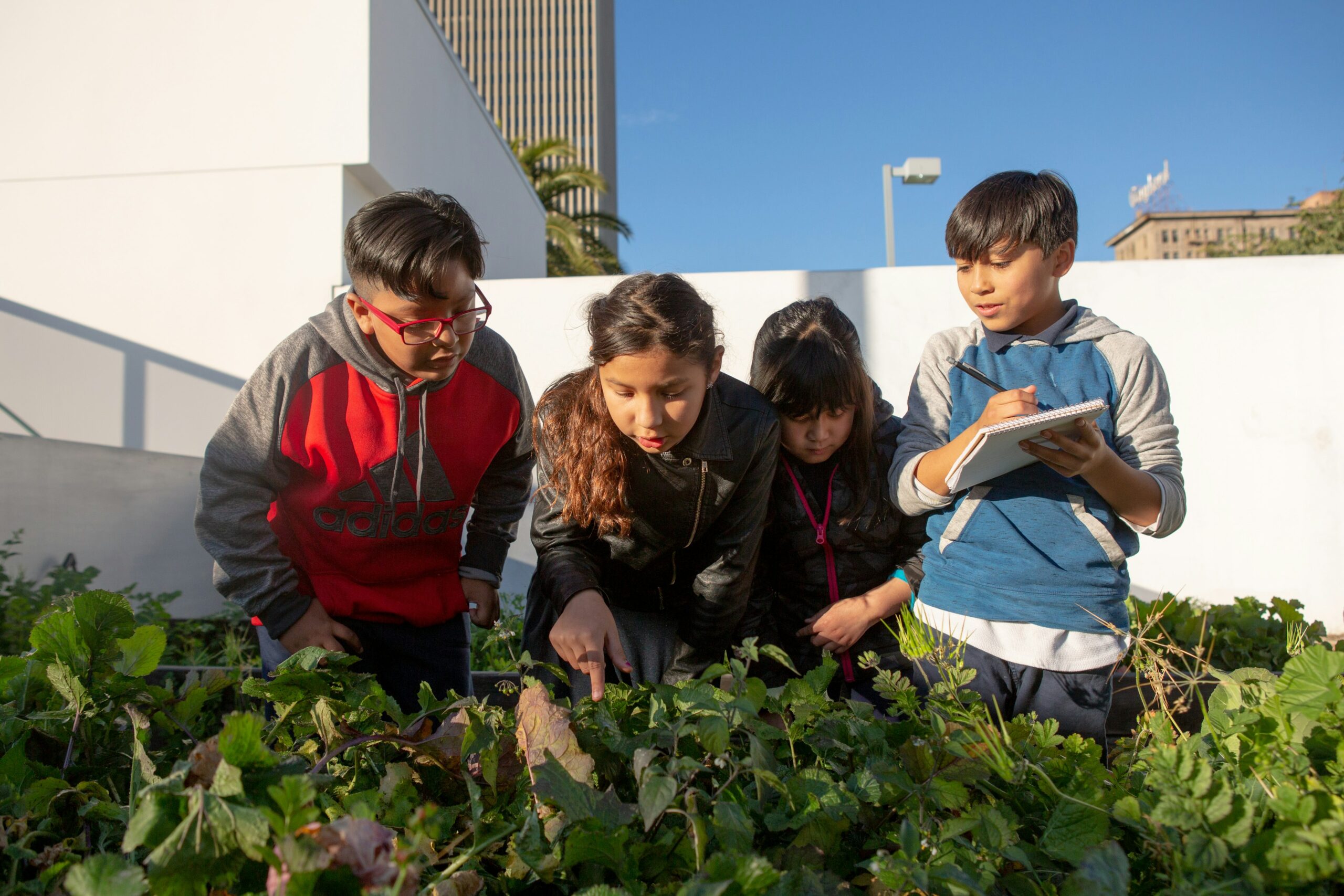 Community School Garden