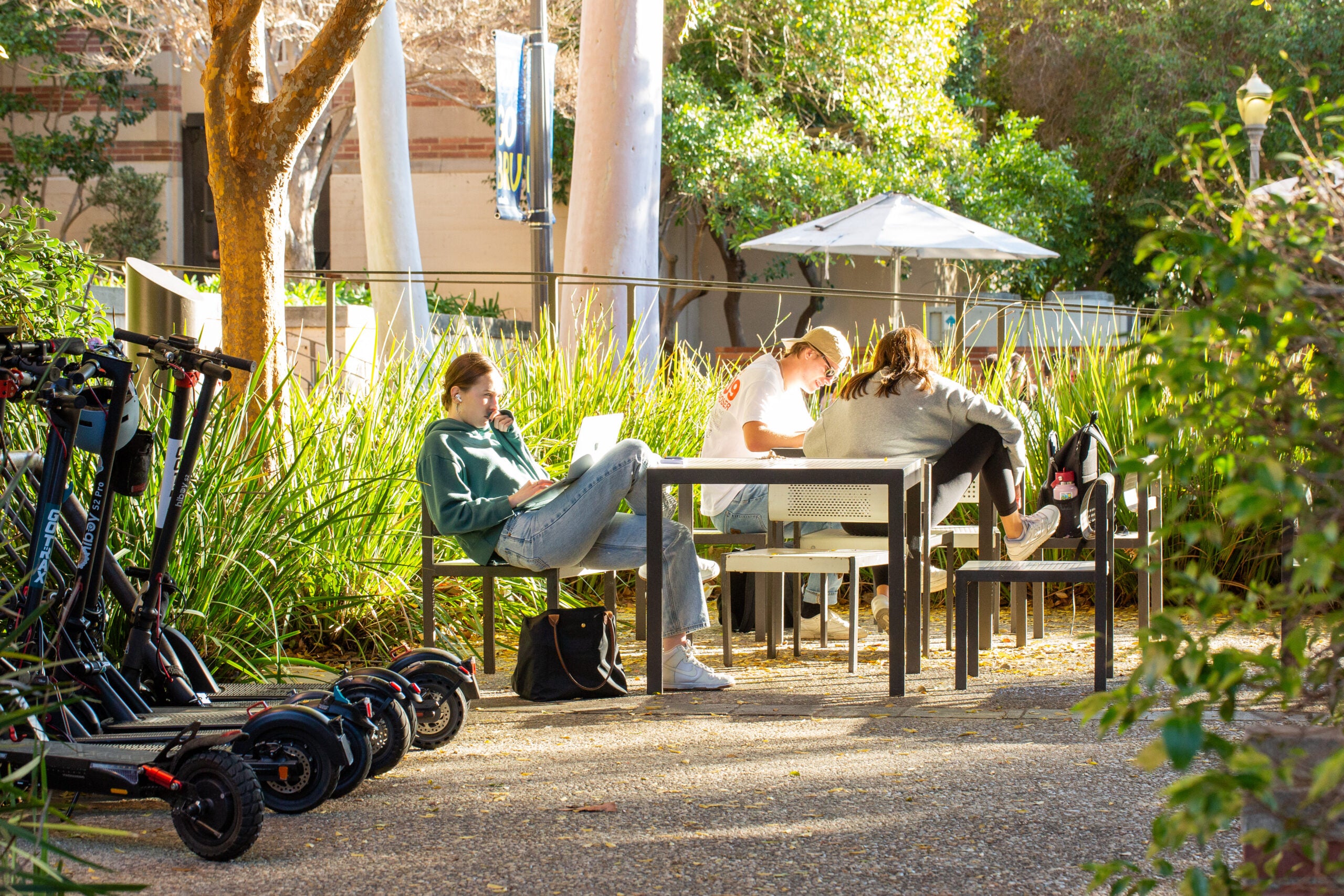 Students Studying in Plaza 7