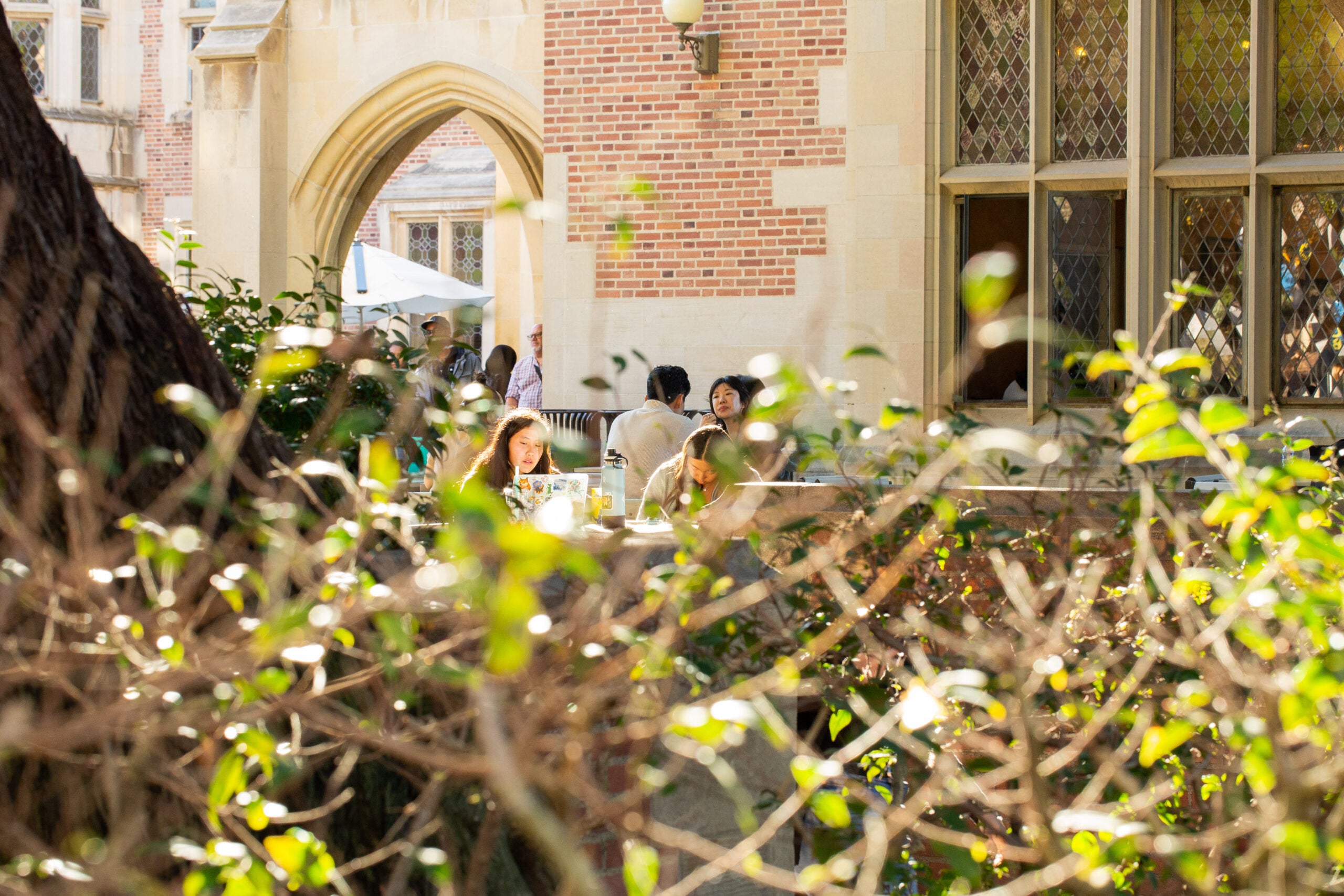 Students Studying in Plaza 6