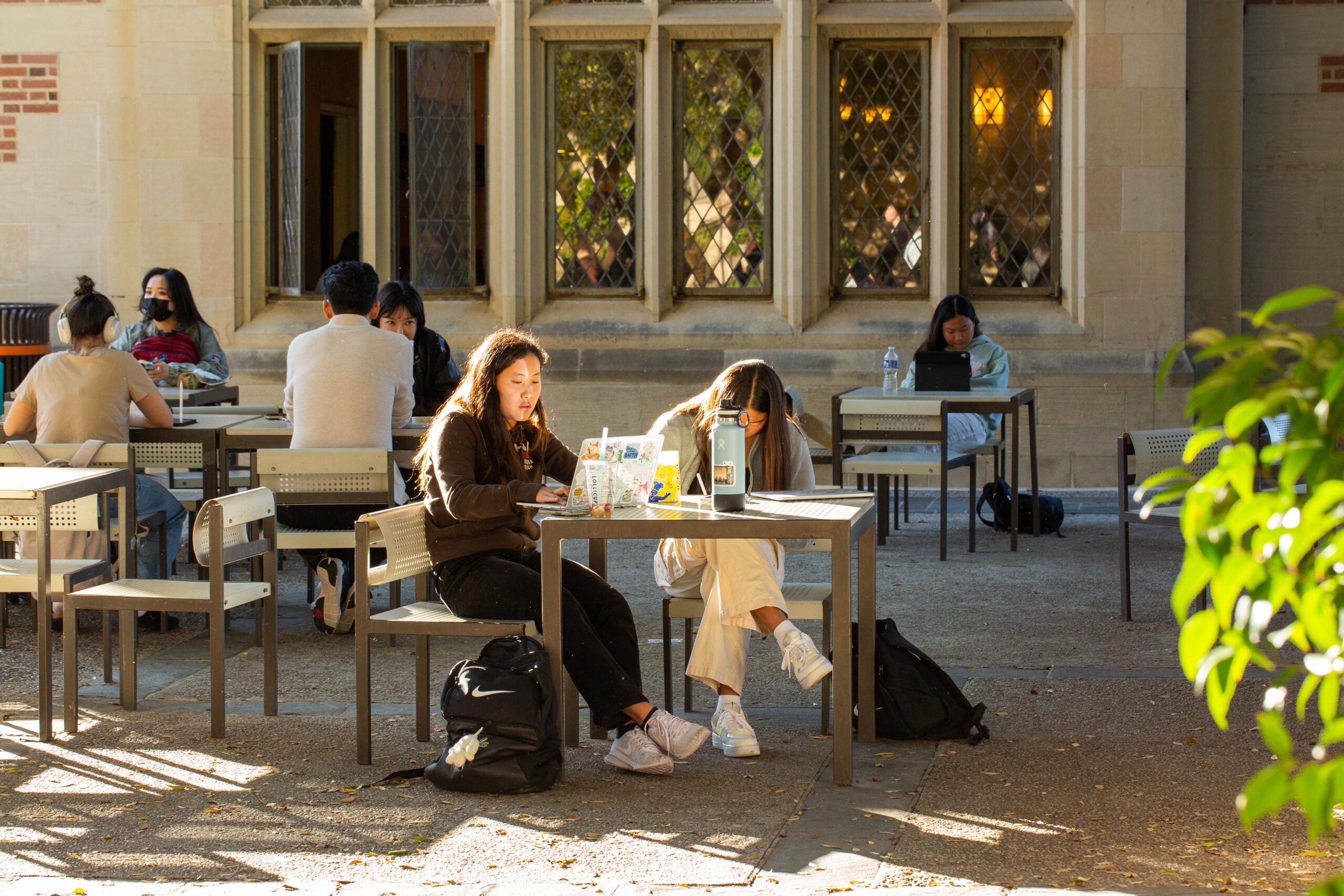 Students Studying in Plaza 4