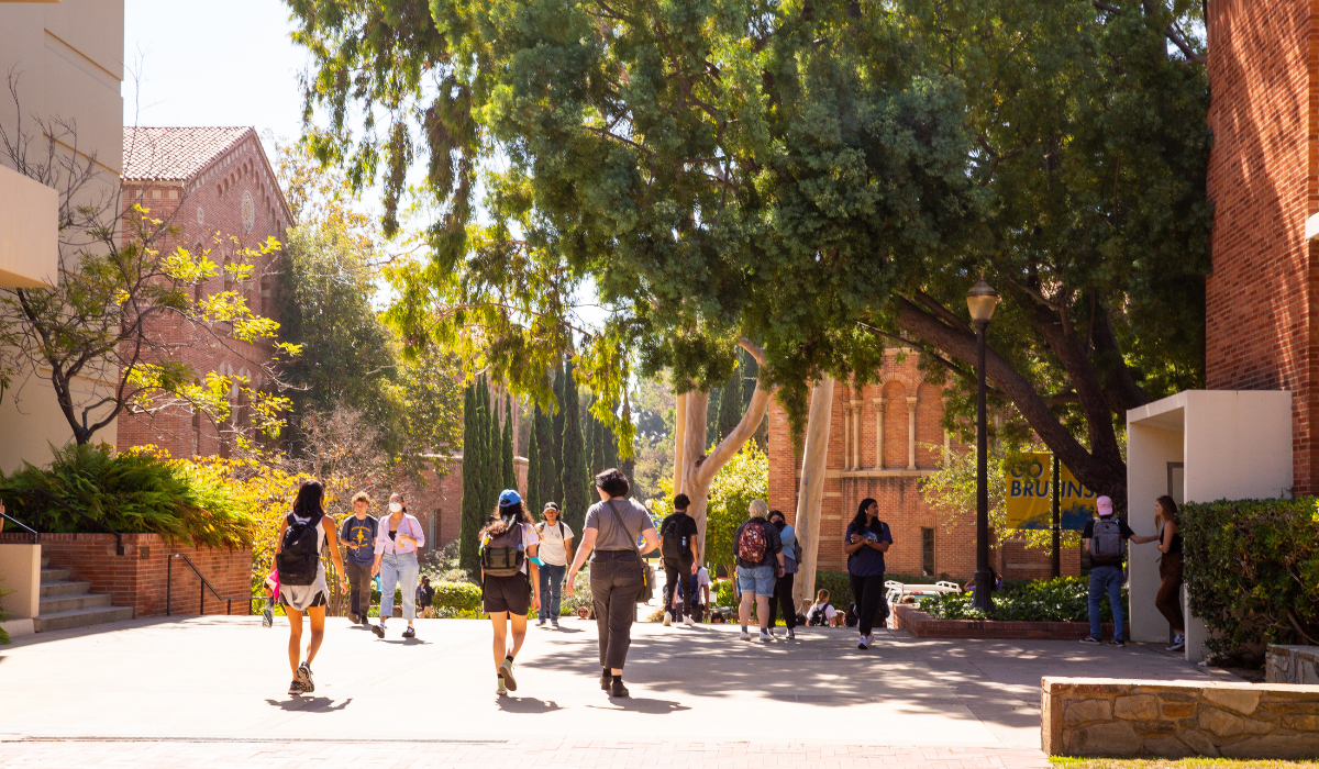 ucla phd film