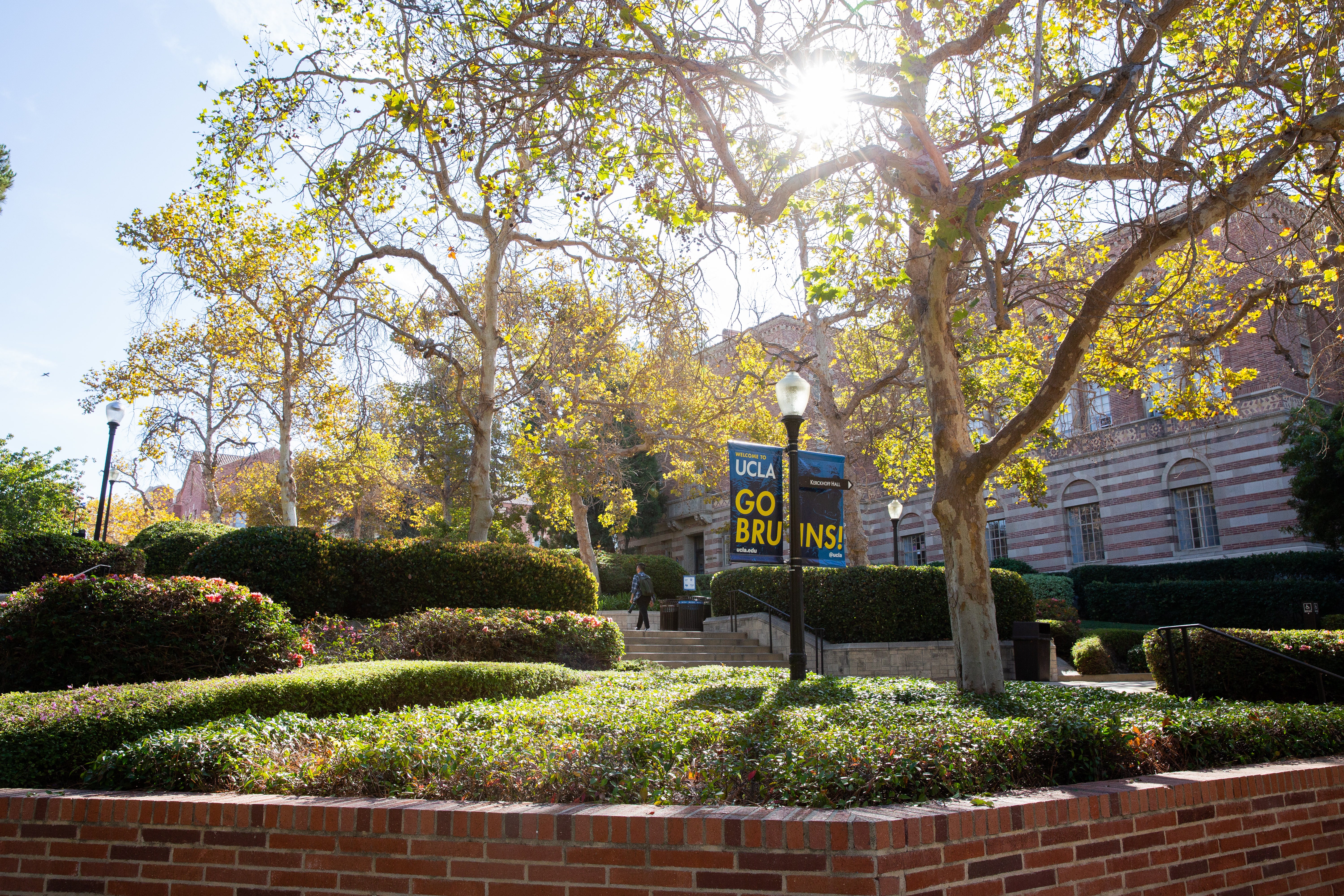 UCLA Campus with trees and brick wall