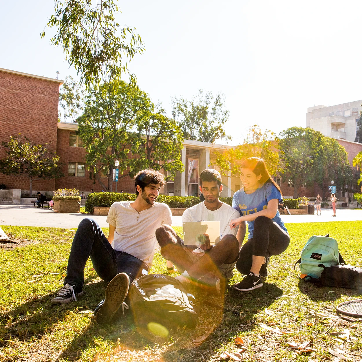 Students Sitting on Lawn